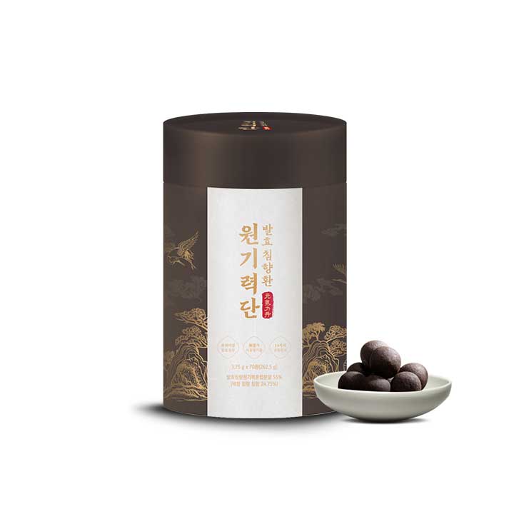 [천호엔케어] 발효침향환 원기력단 실속형 3.75g X 70환(대용량)